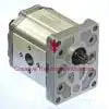 111.20.268.00 hydraulic pump